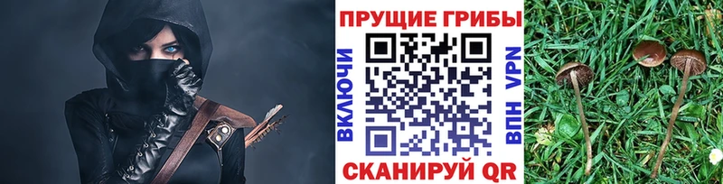 цена наркотик  Советск  Галлюциногенные грибы мицелий 